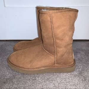 Classic short brown ugg boots size 8